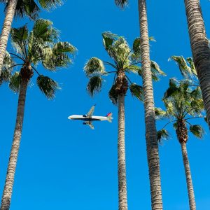 Travel Bargain Blueprint: Flights, Hotels & Hidden Discounts
