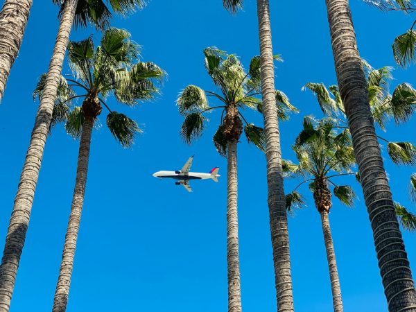 Travel Bargain Blueprint: Flights, Hotels & Hidden Discounts
